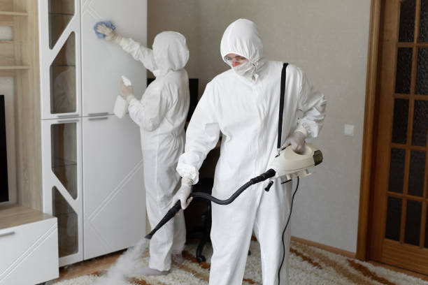 Best Toxic Mold Removal  in Hebron, IN