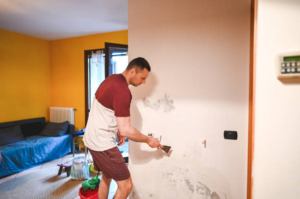 Best Home Mold Removal  in Hebron, IN
