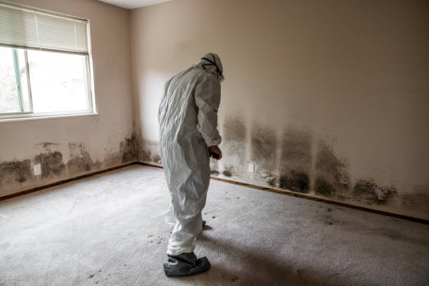 Best Mold Testing  in Hebron, IN